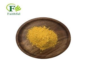 Real shot pictures of cisplatin raw powder.jpg