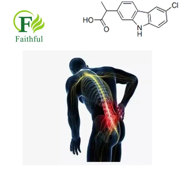 Carprofen, which can relieve pain